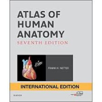 Image of Atlas of Human Anatomy